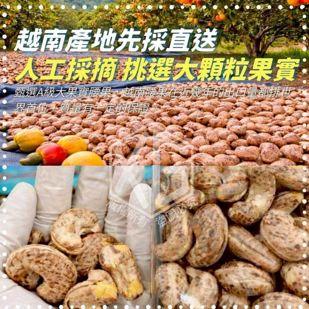 no B-正宗越南原味鹽焗帶皮熟腰果500g