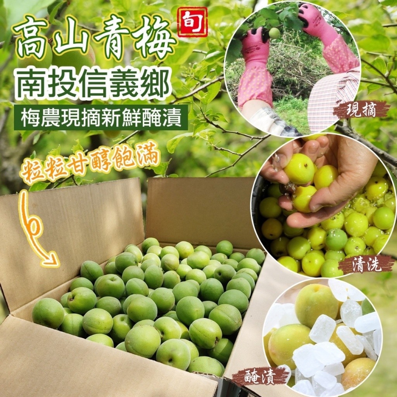 AA-🍃信義小農手作紫蘇梅&🍃凍頂茶梅300g