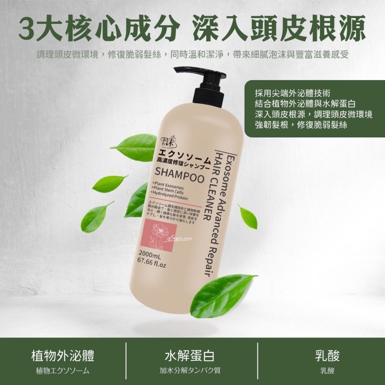 no AA-🫧あわ🫧沫植物外 泌體🌱高效修護洗髮精升級版2000ml